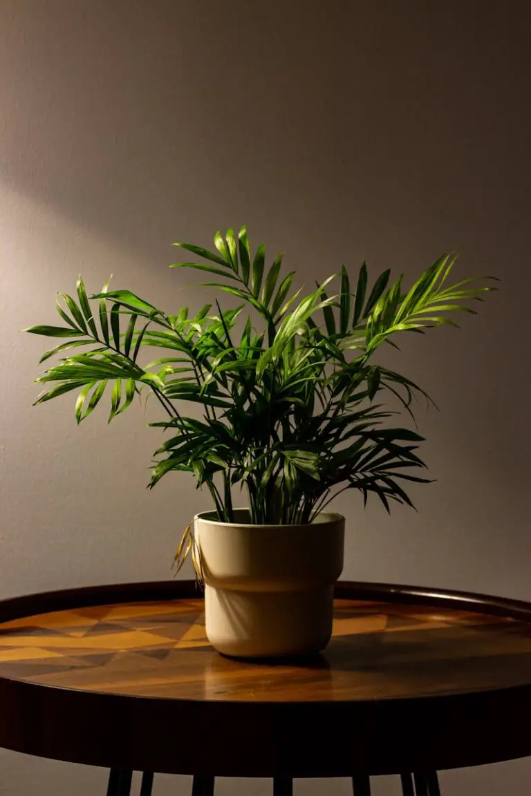 The Basics of Indoor Bamboo Palm Care: Light, Water, and Temperature